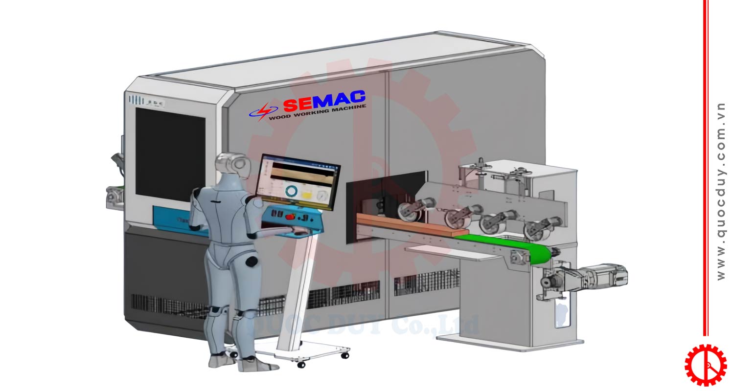 Double sided color sorting machine